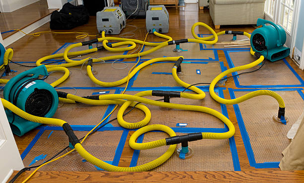 Professional Crawl Space Water Removal technician working in Salisbury, MA